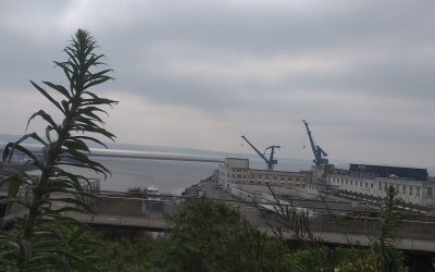 Des bateaux de guerre