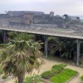 Jardins déserts à Brest pendant le confinement (coronavirus). Les palmiers me rappellent mon enfance africaine..