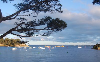 Coup de vent sur l’île